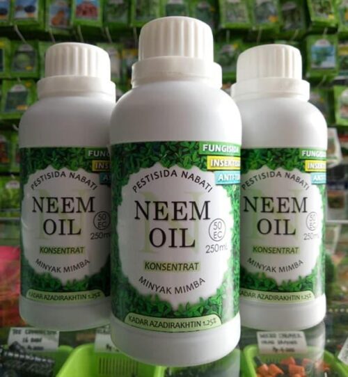 obat kutu rambut