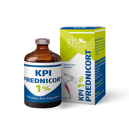 obat ketombe prednicort