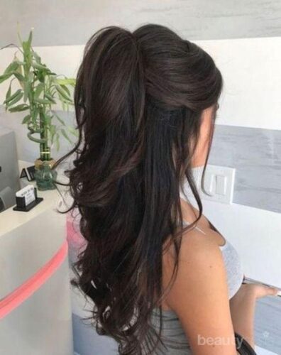 gaya rambut half poni tail