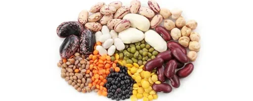 kacang-kacangan